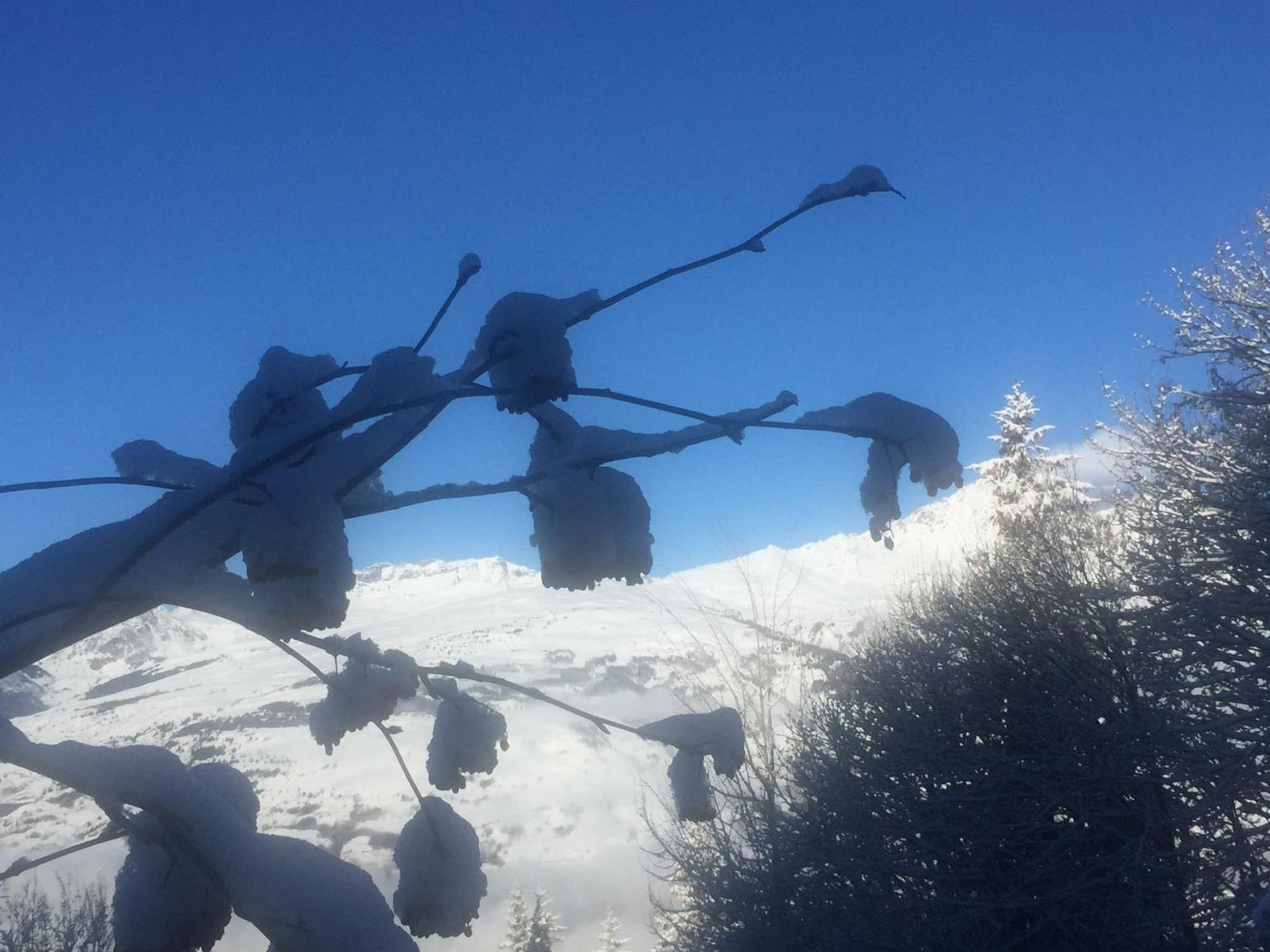 דירות בור סן מוריס Les Arcs 1800 מראה חיצוני תמונה